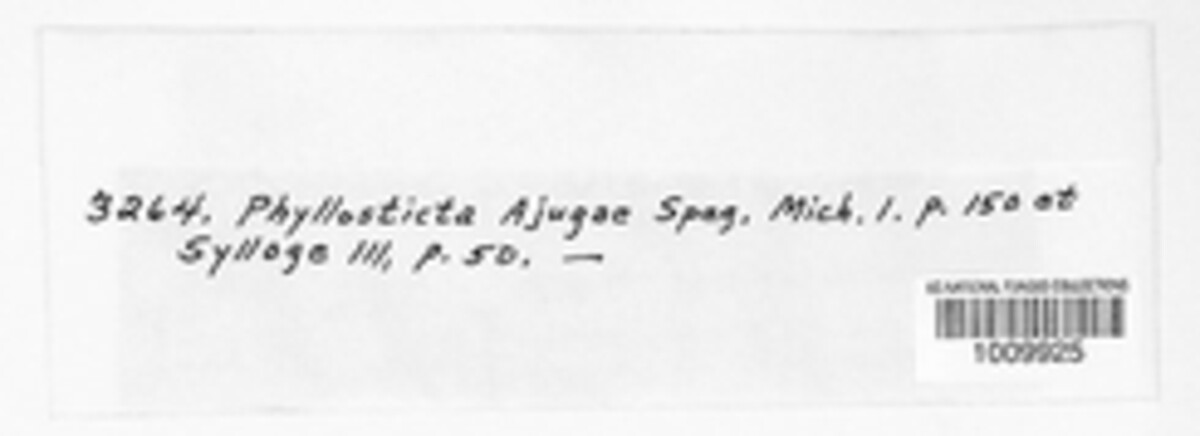 Phyllosticta ajugae image